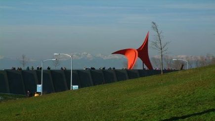 2.5 Hours of Guided Walking Small Group Tour Through Seattle